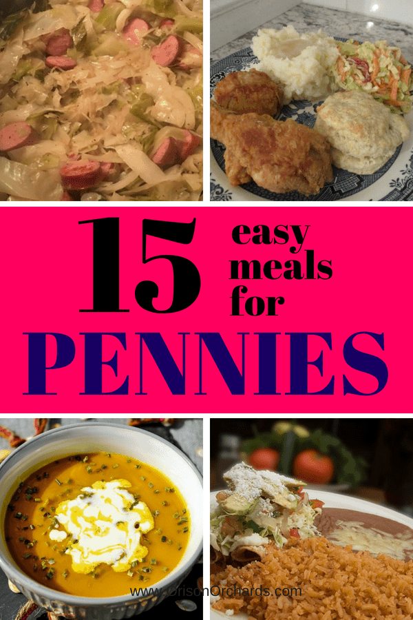 15 Easy, Cheap Meals you can make for Pennies