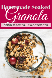 Soaked Granola Recipe