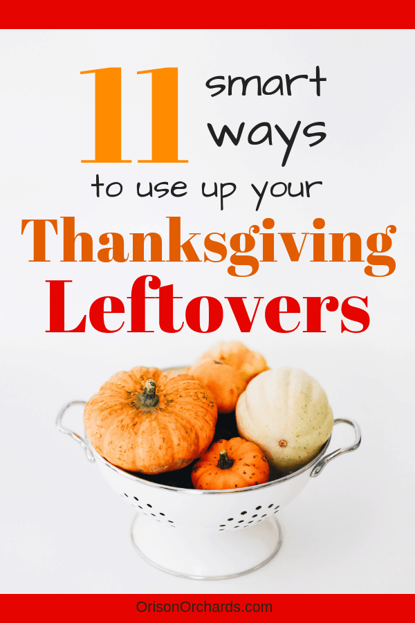 11 Smart Ways to Use Thanksgiving Leftovers