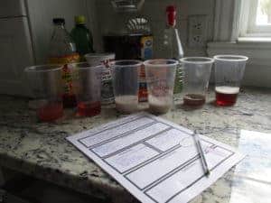 Thanksgiving Unit Study Cranberry Juice Experiment