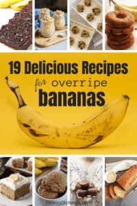 Easy Banana Recipes