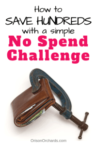 No Spend Challenge