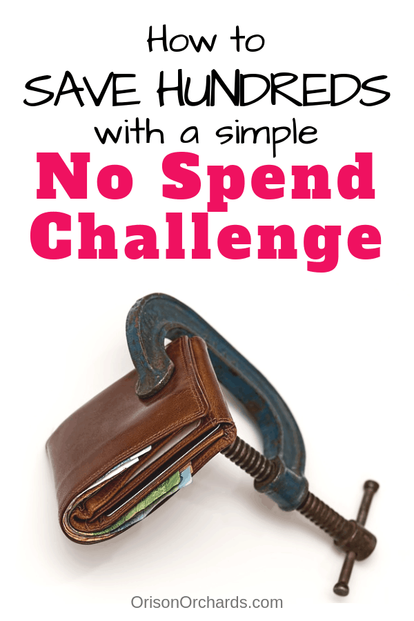 Save Hundreds With a No Spend Challenge