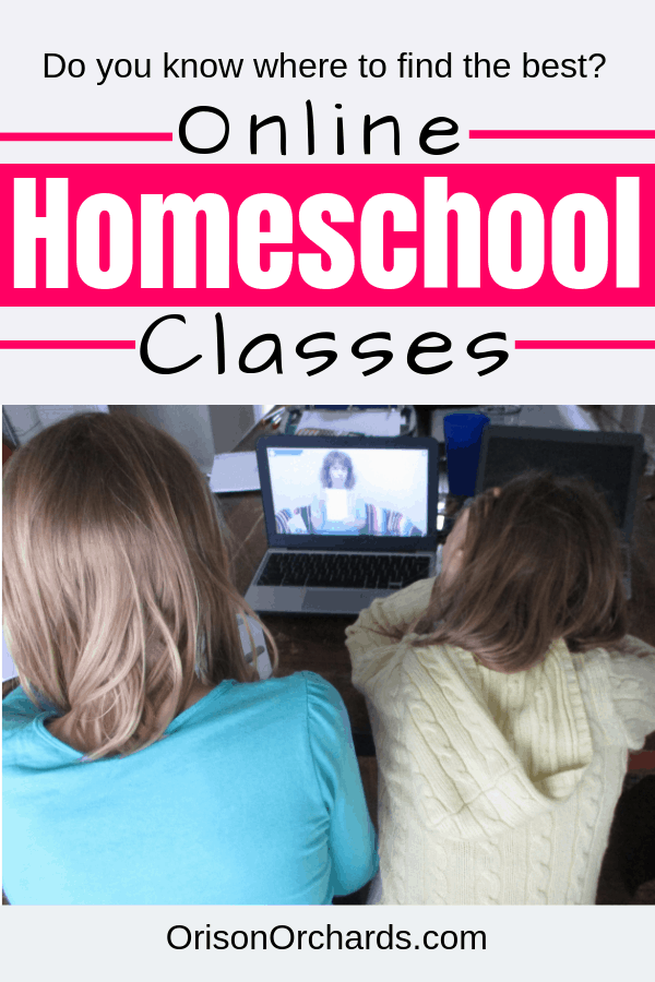 Online Homeschool Classes: A Review of SchoolhouseTeachers.com