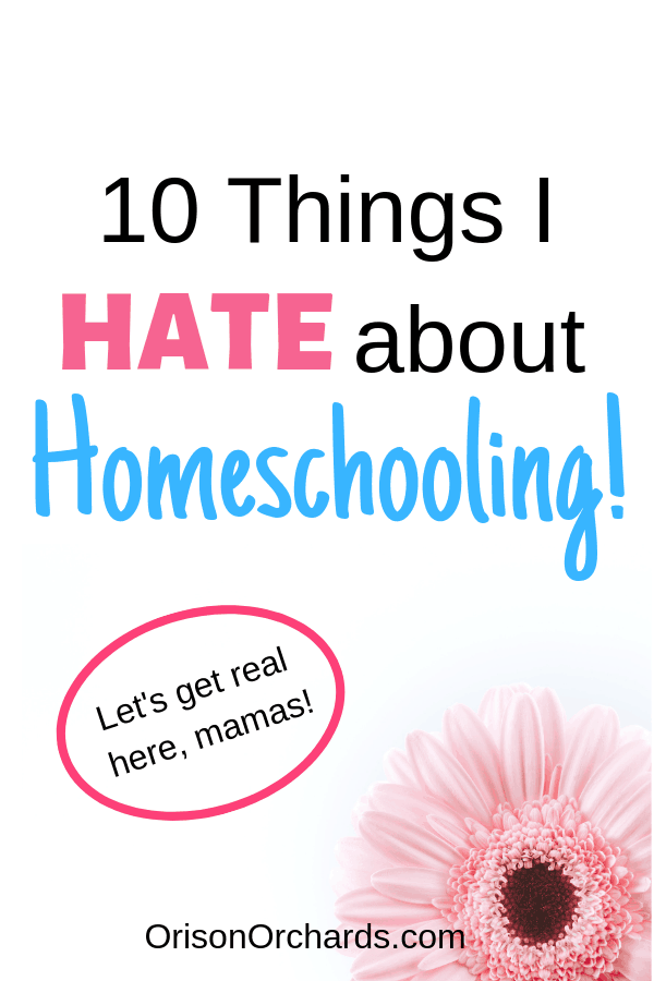 10 Things I Hate About Homeschooling