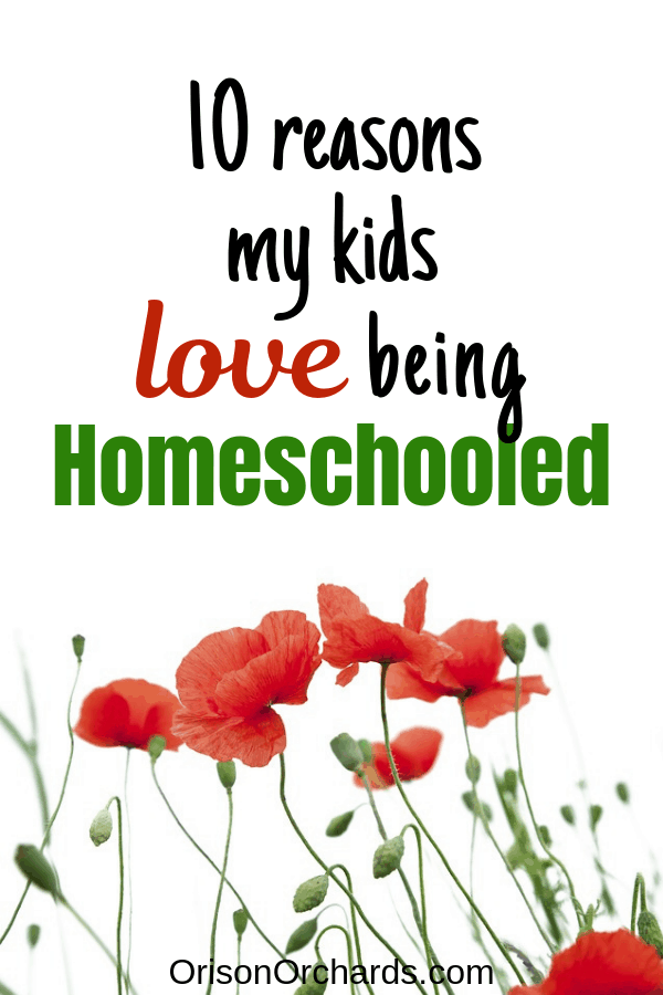 kids love about homeschooling