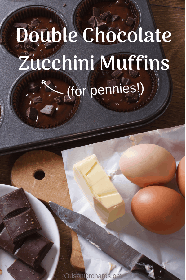 Double Chocolate Zucchini Muffins for Pennies