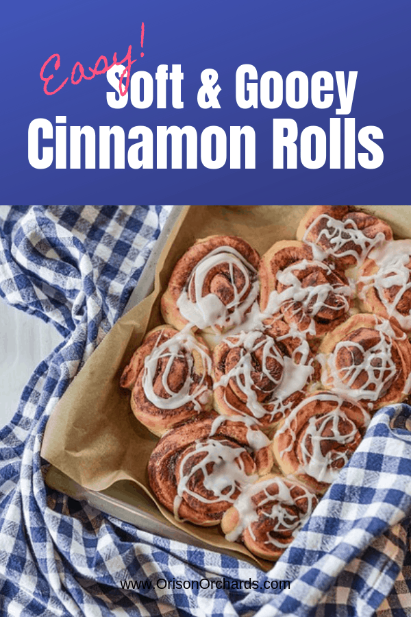 Soft Cinnamon Rolls