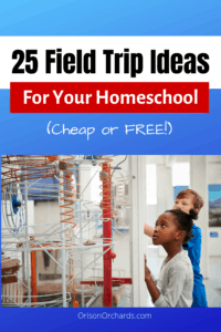 Field Trip Ideas for Homeschoolers