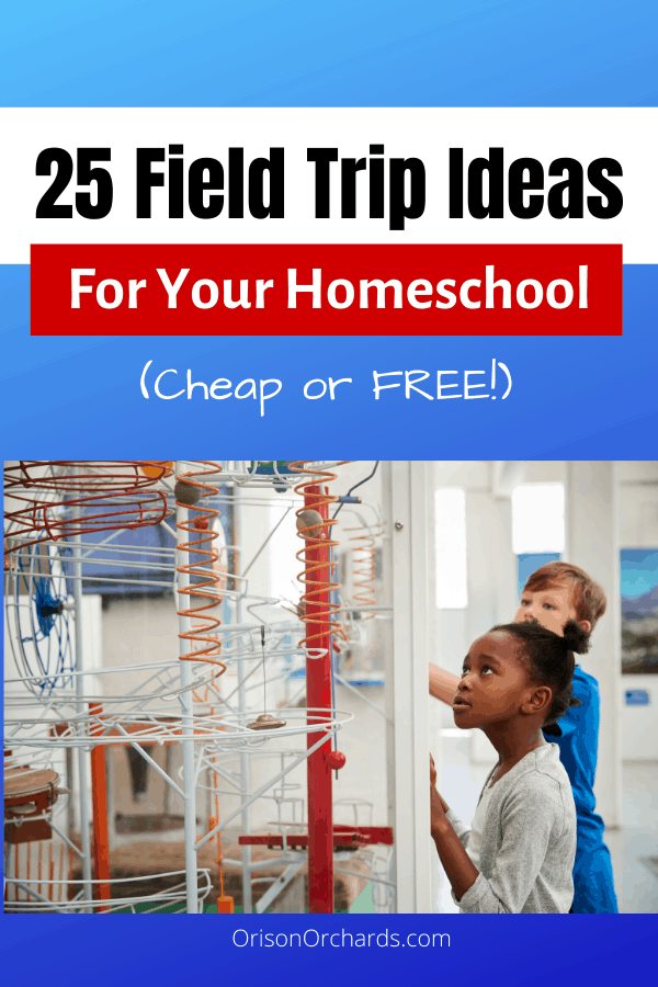 25 Field Trip Ideas (cheap or free!) for Homeschoolers
