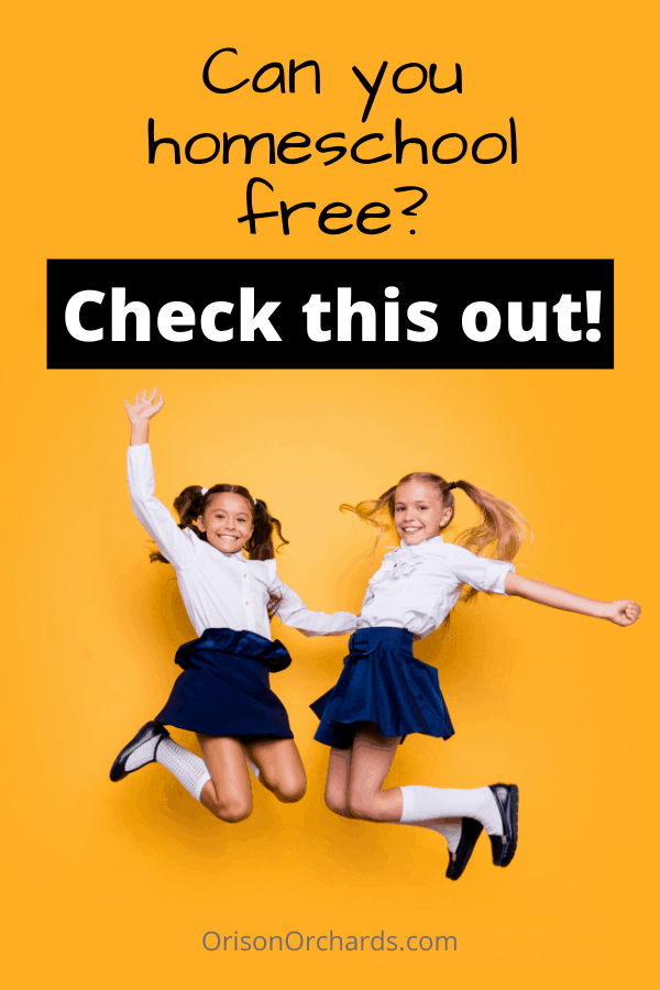 Can You Homeschool Free? Check This Out!