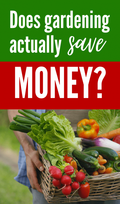Does gardening actually save you money?