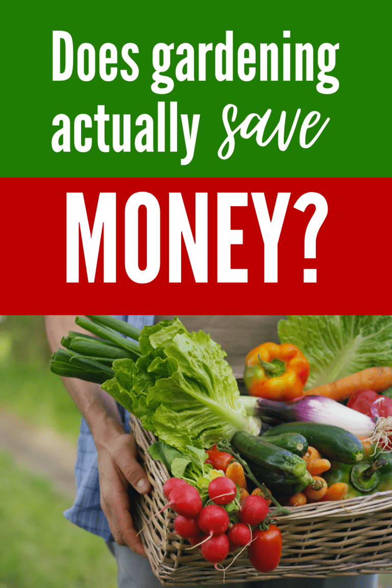 Does gardening actually save you money?