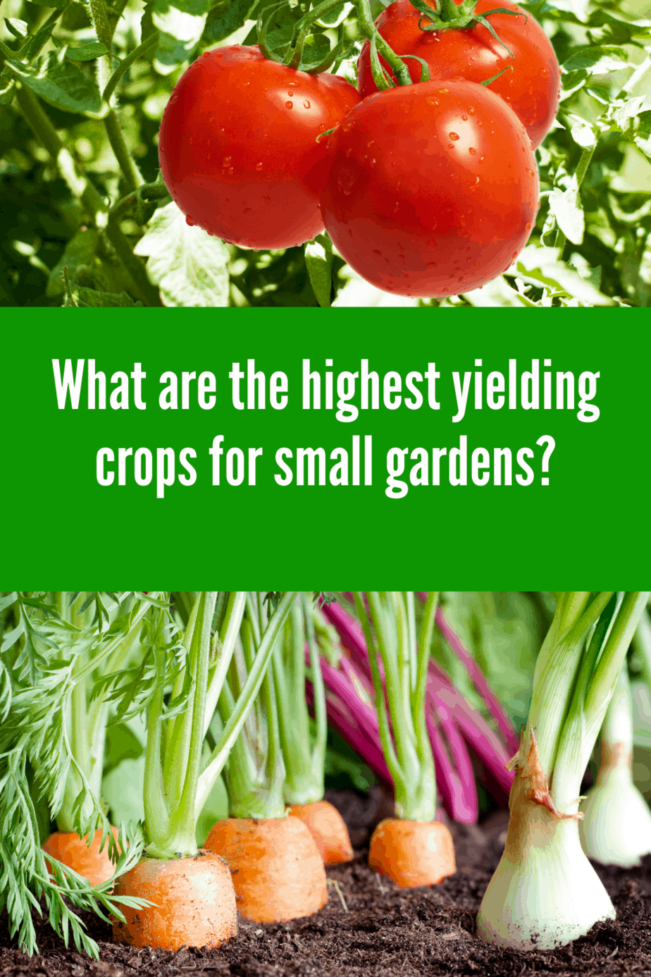 High Yield Crops for Small Gardens